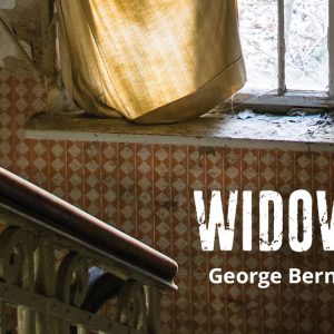 Widowers Houses