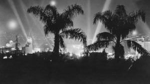 palm trees and spotlights